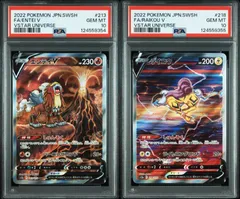 PSA10 エンテイV SAR＆ライコウV SAR 213/172 218/172 連番セット S12a  VSTARユニバース ポケモンカード ポケカ Pokemon Card