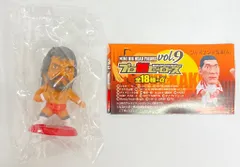 2025年最新】プロ格ヒーローズの人気アイテム - メルカリ