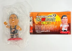 2025年最新】プロ格ヒーローズの人気アイテム - メルカリ