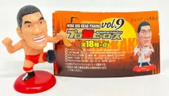 2025年最新】プロ格ヒーローズの人気アイテム - メルカリ