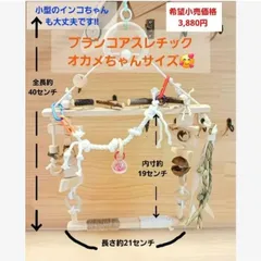 2026年最新】バードアスレチックの人気アイテム - メルカリ