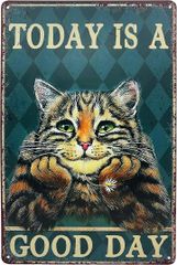 Item thumbnail for item 5b12a0de-a32c-4c1f-bd58-703a8a5de127