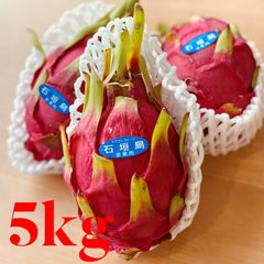 ドラゴンフルーツ(赤)】石垣島産 栽培期間中農薬不使用 5キロ - メルカリ