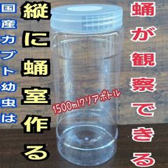 1周年記念b－6特別価格商品従来価格5650円を5250円に値下げ 