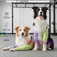 Item thumbnail for item 73020401-3d77-4eb3-bd30-976711cc9cf4