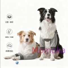 Item thumbnail for item b7a656e4-465a-40f8-87f1-761e7aa013ab