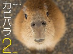 新品・未開封]カピバラベビー 大人用Mサイズ テープタイプ - メルカリ