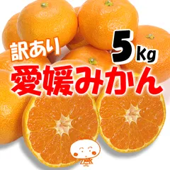 【超お買い得】訳あり　愛媛県産　愛媛みかん　5ｋｇ補償有
