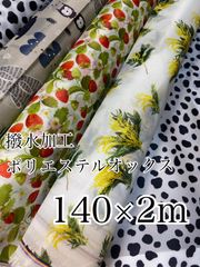 Item thumbnail for item 23bc7e6a-7f49-459d-849e-301de56eb38a