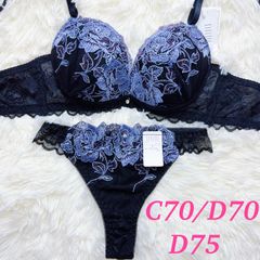 ブラショーツセット C70/D70/D75 Tバッグセット Tショーツ Tバッグ