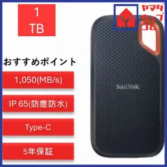 2025年最新】sandisk ssd 1tbの人気アイテム - メルカリ