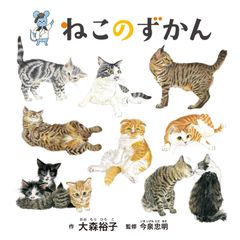 高林麻里さん 猫のイラスト 原画 鉛筆画と c&s ポストカードセット 