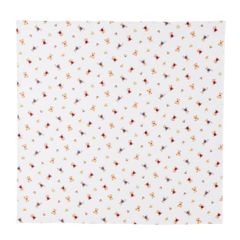 Item thumbnail for item 6365cd6b-0065-46bb-a1a9-ec88b5a021fe