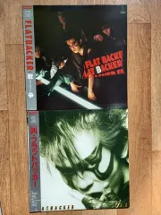 2026年最新】フラットバッカー lpの人気アイテム - メルカリ