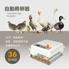 Kurflo 自動孵卵器 全自動孵化 インキュベーター 鳥類専用ふ卵器 自動孵卵器 最大36枚 家禽ハッチャー 温度/湿度調理 高精度制御 鶏/アヒル/ガチョウ/鳩/ウズラのサムネイル