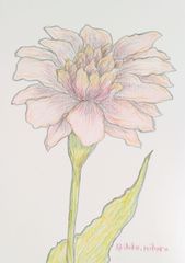 Akihiko Mihara, a Salon d'Automne award-winning artist [KODAIBANA] Drawings, original paintings, brush pen art, pen drawings, contemporary art, artwork, paintings, fine art, interior design, botanical paintings, hand-drawn illustrations, popular abstract paintings, flowers, colored pencil drawings, art, feng shui, gifts, flower paintings, ancient flower paintings, paintings