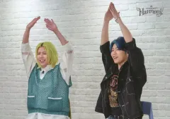 【中古】コレクションカード(男性) 045：Mrs. GREEN APPLE/藤澤涼架・若井滉斗/「Mrs. GREEN APPLE on “Harmony”」MGA Special Photo Card Set “Harmony” フォトカード