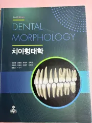 2026年最新】歯牙形態の人気アイテム - メルカリ