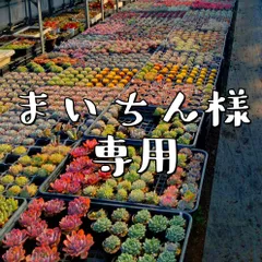 まいちん様専用