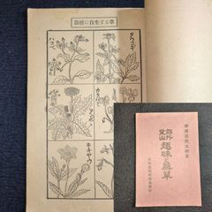 模写 桑田笹舟 掛軸 書 肉筆 落款有 古美術 骨董#和本～江戸屋