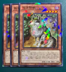遊戯王　孤高除獸　ノーパラ　3枚　遊戯王OCGデュエルモンスターズ ノーマルパラレルレア パラレル 3枚セット ココウノケモノ　パラレル