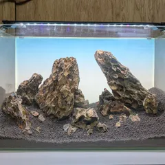 2025年最新】ada 龍王石の人気アイテム - メルカリ