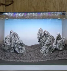 2026年最新】青龍石 水槽の人気アイテム - メルカリ