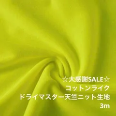 F2X/41-059◆3m 感謝祭/ポリドライマスター天竺ニット生地/生地のM