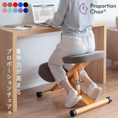 ✨️美品✨️宮武製作所 プロポーションチェア CH-88W 姿勢矯正