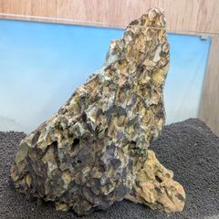 さざれ石 10kg超 苔テラリウム 鑑賞石 庭石 一点物 約37cm (201 - メルカリ