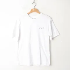 95/patagonia パタゴニア 半袖 Tシャツ