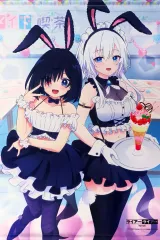 【中古】タペストリー 姫路白雪＆椎名紬 B2アニメ描き下ろしタペストリー 「Blu-ray ライアー・ライアー」 ソフマップ・アニメガ全巻購入特典のサムネイル