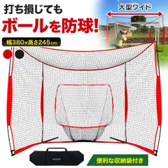 KaRaDaStyle 野球ネット 大型ワイド 3.8×2.4M バッティング 練習