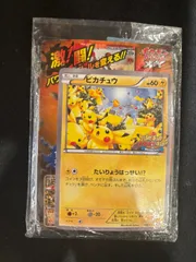 2025年最新】ピカチュウ xy-pの人気アイテム - メルカリ