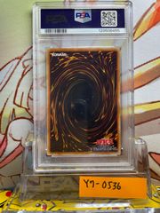 PSA10 ブースター 旧裏 ジャングル 136 1997 ブースター(旧裏面) No.136 Rare Holo ARS鑑定Grade10 ポケモンカード