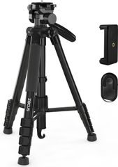 Item thumbnail for item 4aaf4349-3c63-4256-9056-0752ff9376e7