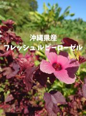 沖縄産フレッシュローゼル 500g 農薬不使用 - メルカリ