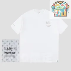 【本日限定特価】Ayc Teryx × PALACE コラボ メタリックシルバープリントTシャツ [本日特価|新品未使用品]