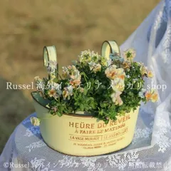 プランター 鉢植え 植木鉢 ヴィンテージ調 ブリギ エレガント フラワーバスケット ガーデニング 雑貨 ガーデン雑貨 ガーデンインテリア ガーデン インテリア 庭の装飾 お洒落 おしゃれ 8-14