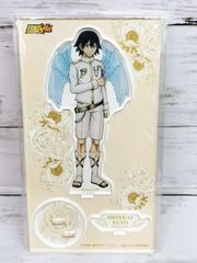 アニメージュ ひろがるスカイ！プリキュア キュアプリズム ホログラム