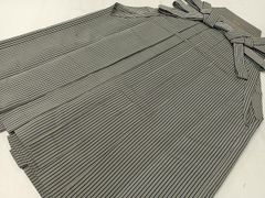 Item thumbnail for item 958d37bc-a2dd-42a3-9fb8-c4f6616ea3b1