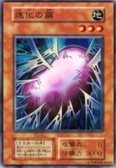 進化の繭　スタジオダイス版　ネームエラーカード 進化の繭 スタジオダイス版 ネームエラーカード 遊戯王 エラーカード集