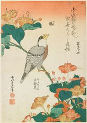 豊堂 花鳥 絹本肉筆 掛軸 送料込み260708 - メルカリ