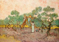 ゴッホ『サンポール病院の背後の山の風景』キャンバス加工フレーム付き Amazon.co.jp: 枚の絵画 死神がいるセント ポール病院の裏の麦畑