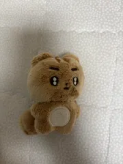 TOMORROW X TOGETHER(TXT) テヒョン(TAEHYUN) ぬいぐるみ (ポバトゥ) 出品