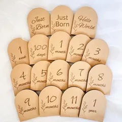 15枚セット　アーチ型　マンスリーカード　月齢カード　マンスリーフォト　月齢フォト　ニューボーンフォト　ジャストボーン　ハローワールド