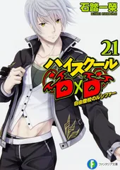 ハイスク-ルＤ×Ｄ ２１/ＫＡＤＯＫＡＷＡ/石踏一榮（文庫）