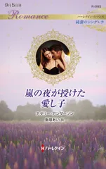 嵐の夜が授けた愛し子/ハ-パ-コリンズ・ジャパン/ナタリー・アンダーソン（新書）