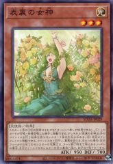 the Raid. bo_ya チェキ Amazon.co.jp: the Raid. bo_ya チェキ71枚セット : Toys & Games