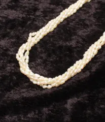 5連ネックレス SV 淡水パール レディース